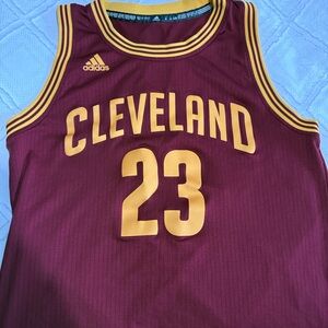 Cleveland Cavaliers LeBron James Adidas Burgundy swingman